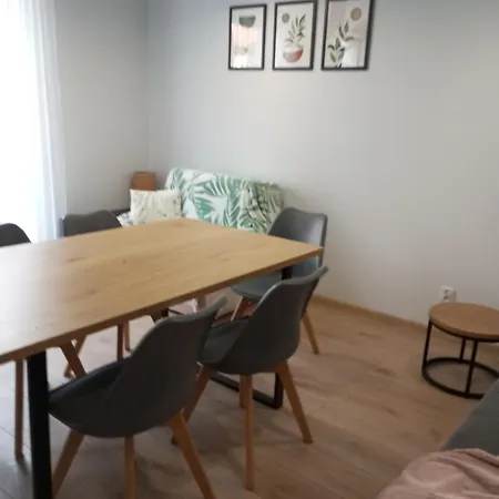 Apartament-mieszkanie Dwupokojowe, Centrum *
