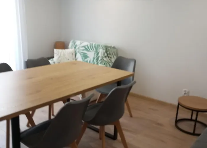 Apartament-mieszkanie Dwupokojowe, Centrum *