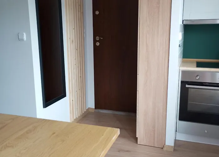 Apartament-mieszkanie Dwupokojowe, Centrum 莱鲍